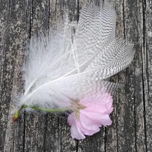 Meet your Posher, Kassandra